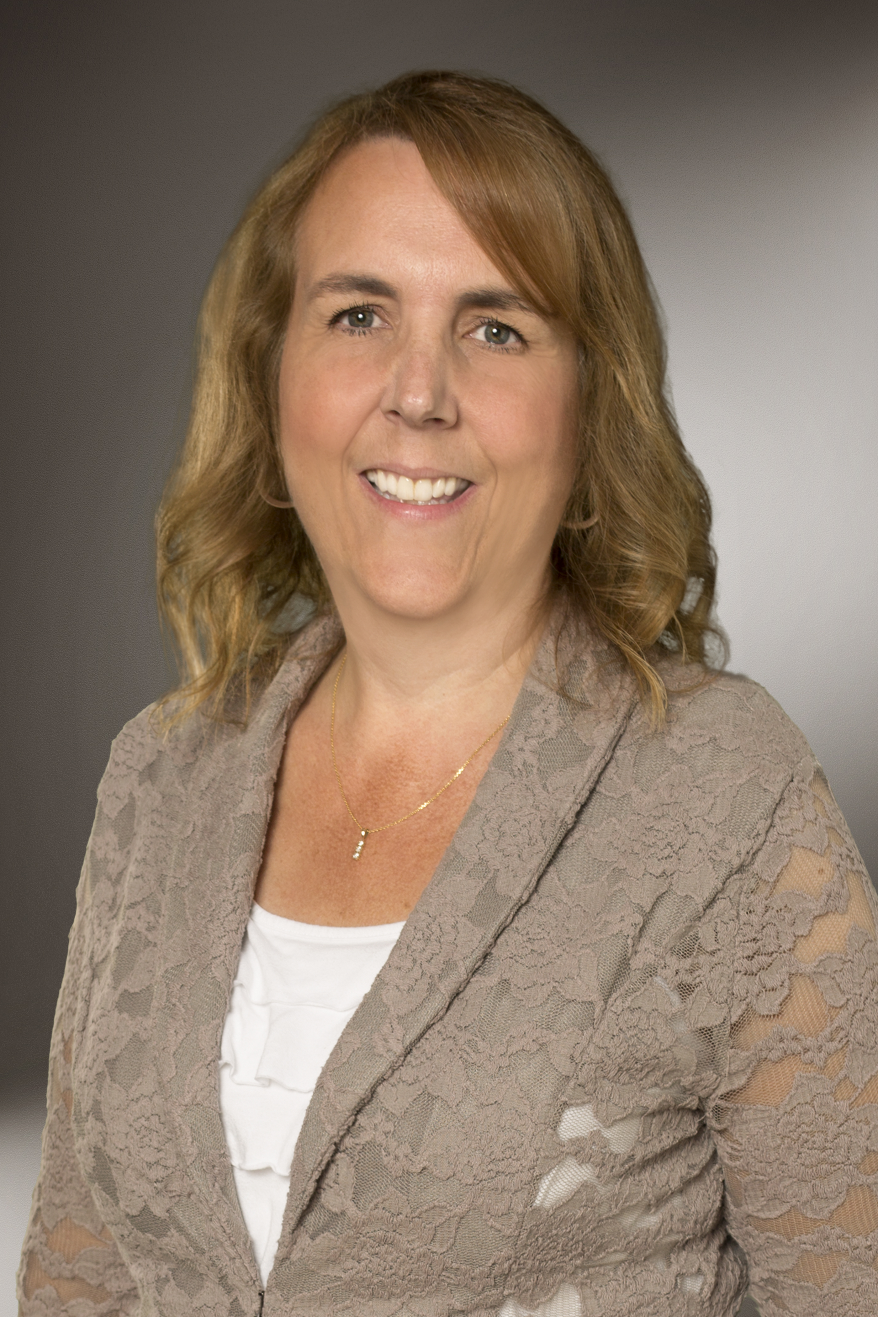 Apple - Kim Air Jordan 1 Low Metallic Zinc (W) - HQ3529-099 Raffles