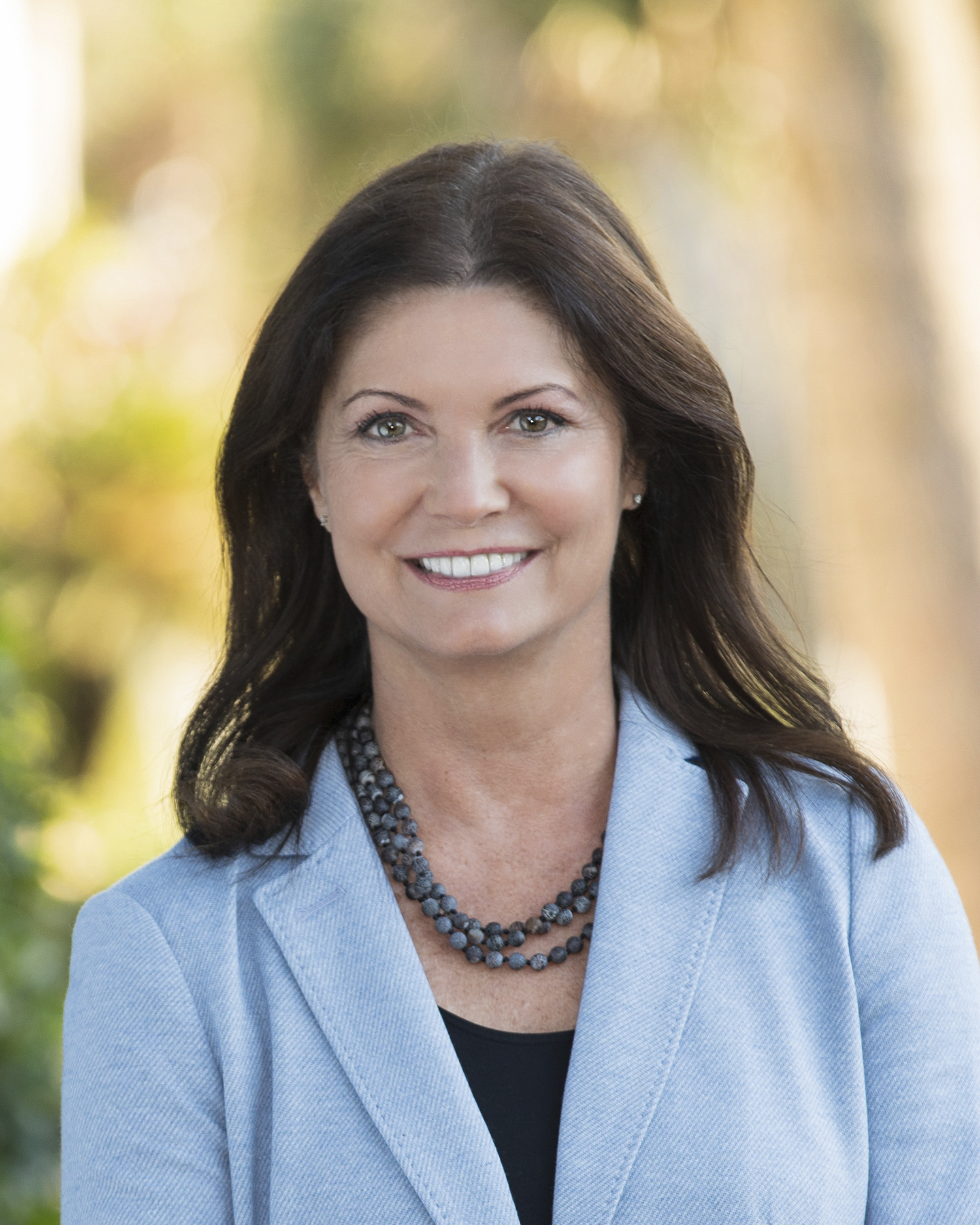 Chris Allegro Real Estate Agent Better Homes and Gardens Real Estate