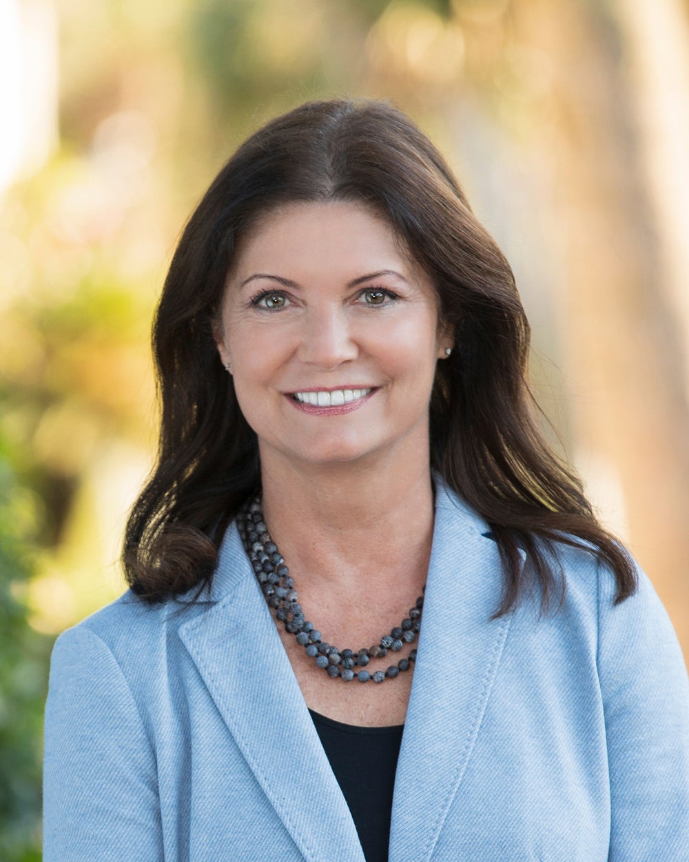 Chris Allegro Real Estate Agent Better Homes and Gardens Real Estate