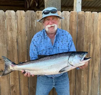 Bill Hanneman