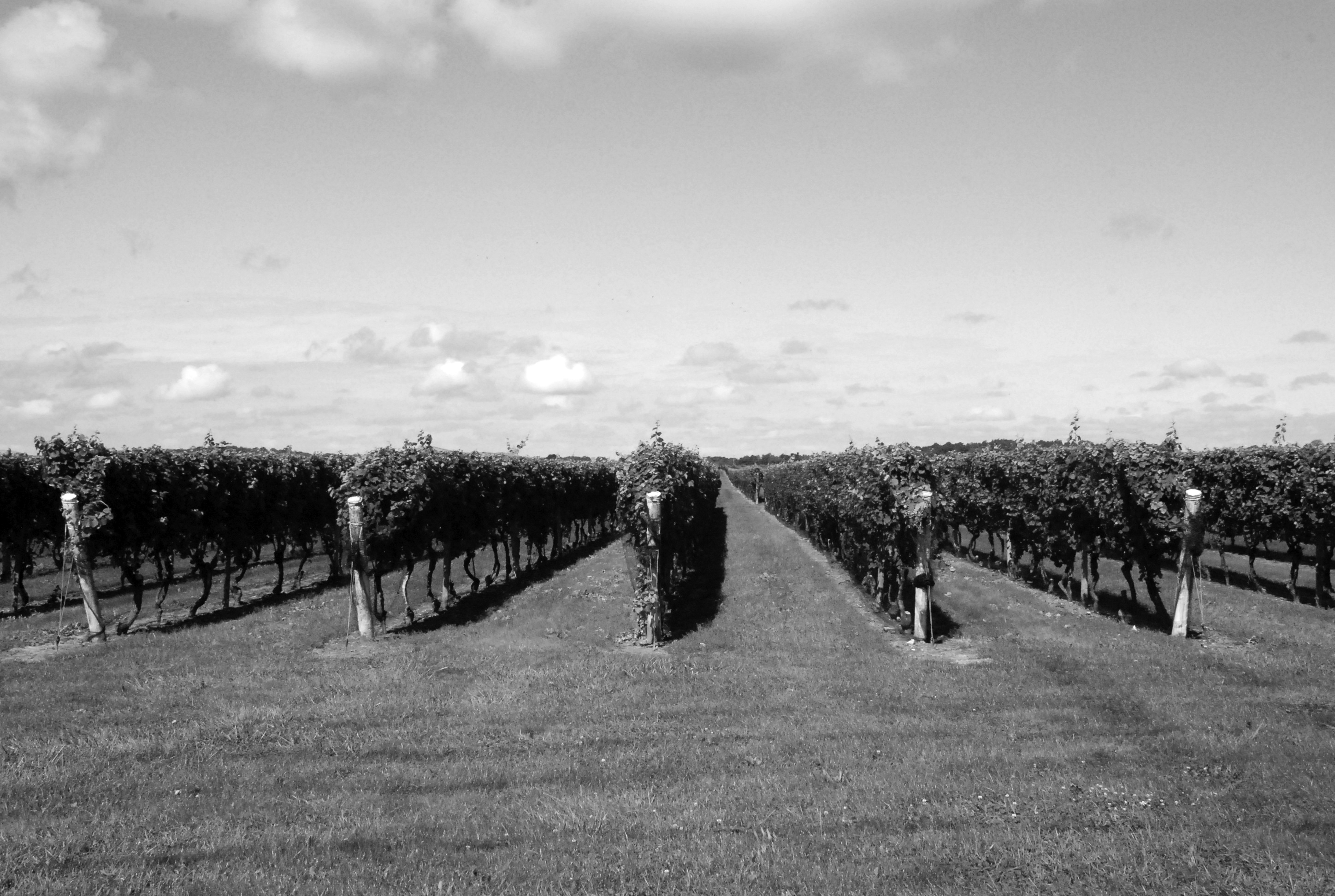 CENTURY 21 Albertson Realty