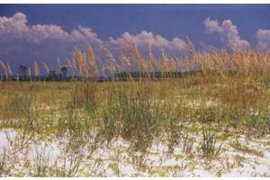 CENTURY 21 Collins Realty, Inc.