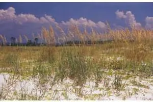 CENTURY 21 Collins Realty, Inc.