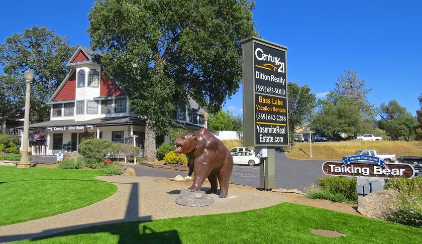 CENTURY 21 Ditton Realty