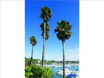Office View Coldwell Banker Realty