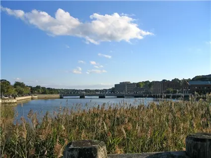 Office View Coldwell Banker Realty